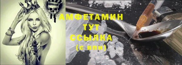 сатива Армянск