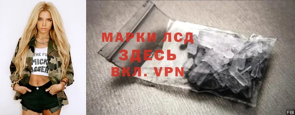 шишки Арсеньев