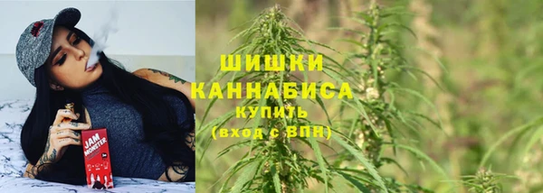 шишки Арсеньев