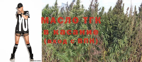 сатива Армянск