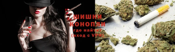 шишки Арсеньев