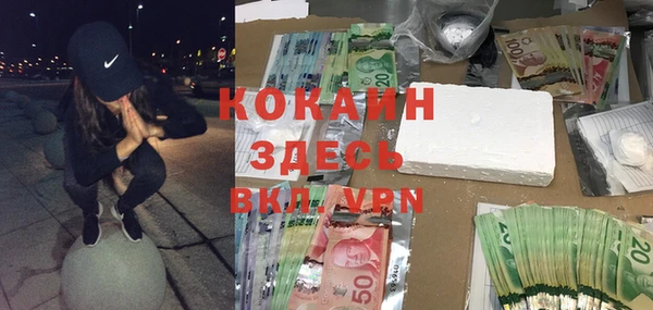 дживик Аркадак