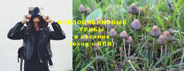 сатива Армянск