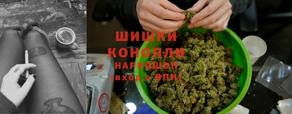 шишки Арсеньев