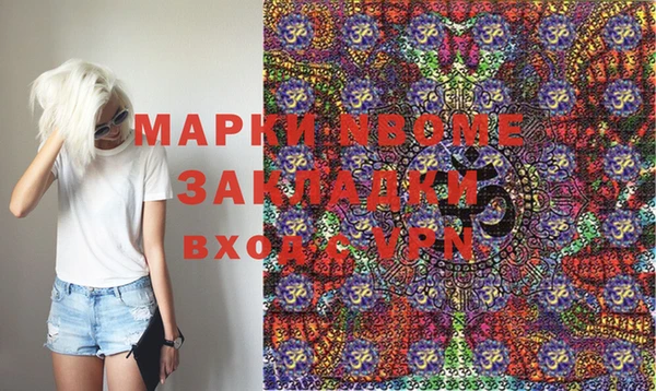 шишки Арсеньев